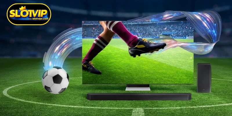 Finding Your Ideal Live Sports Streaming Destination